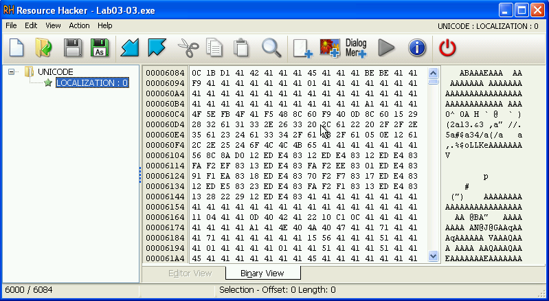 Resource Hacker with some obfuscated binary data